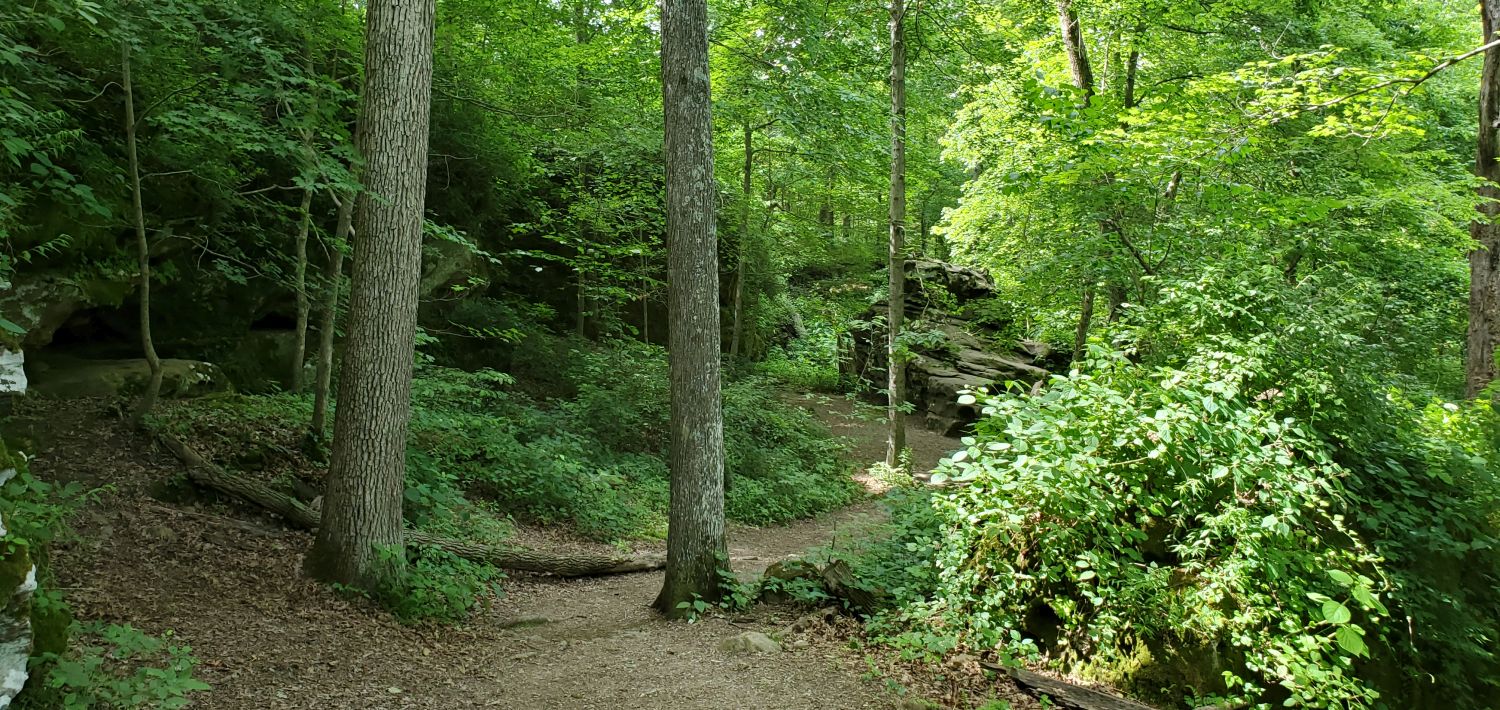 Giant City SP - Giant City Nature Trail 